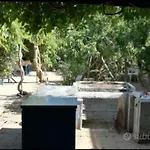 La Mia Africa * 파뷔냐나도
